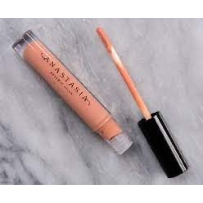 anastasia beverly hills lip gloss undressed (wc5h)